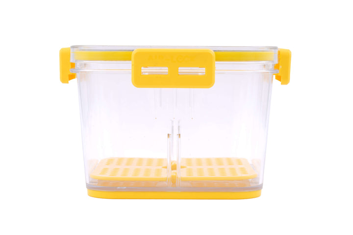 Fridge Smart Container 1.0 L (Set of 2)