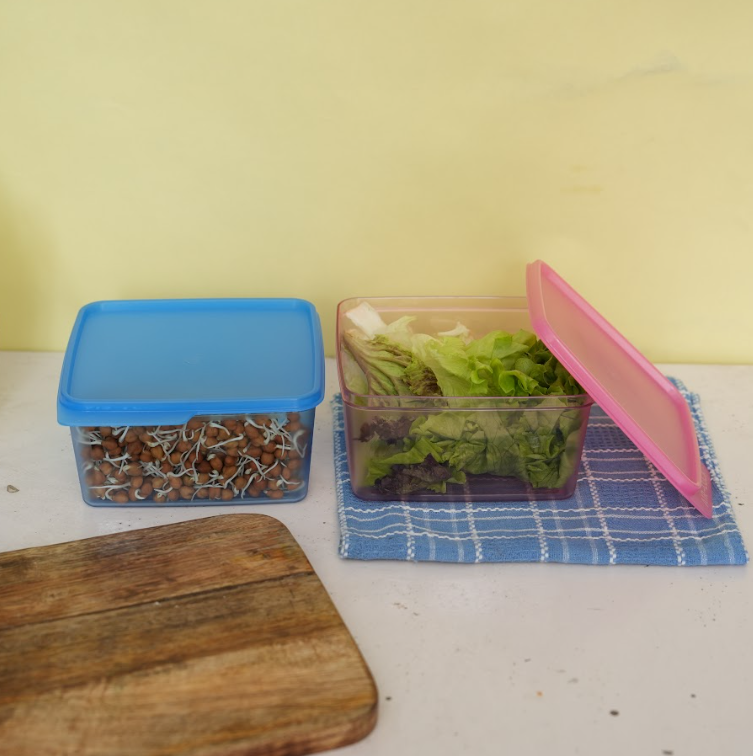 Polyclear Rectangular Container 1.2L (Set of 4)